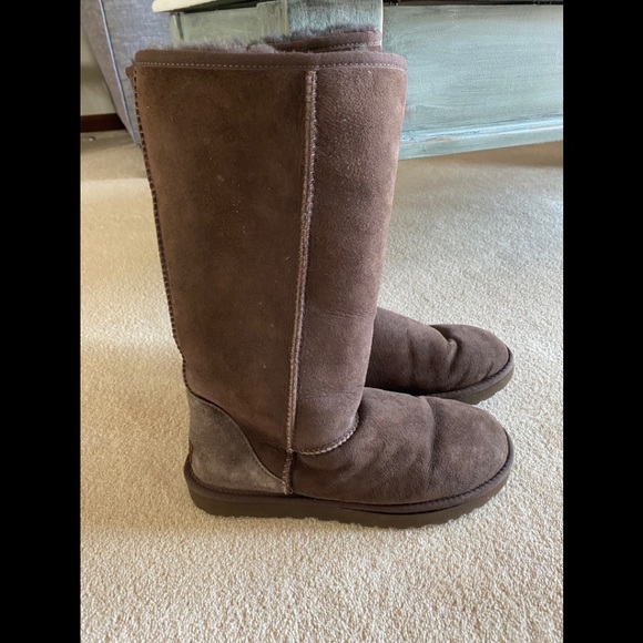 UGG Shoes - Tall brown Ugg boots
